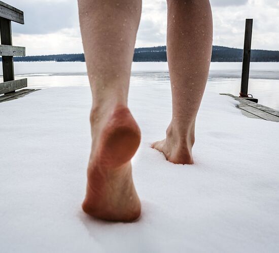 Wellness in the Arctic Sauna World